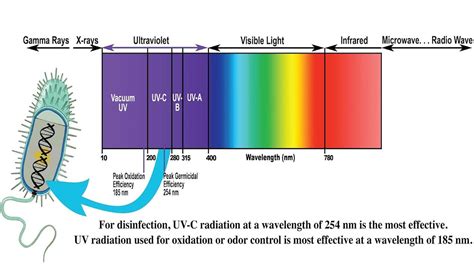 uv light effect on pipette|effects of ultraviolet light.